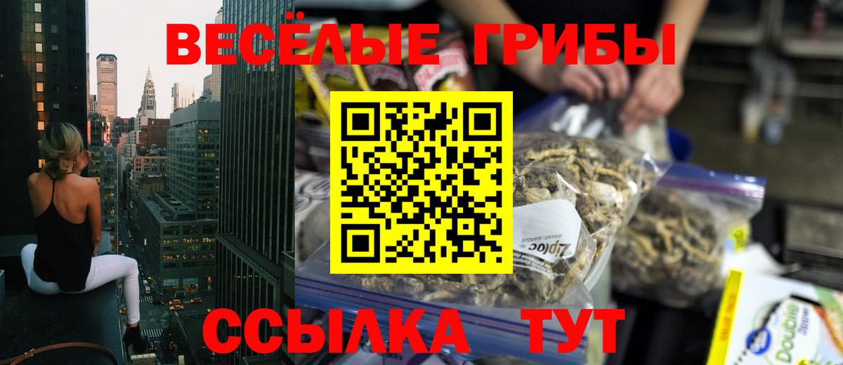 Псилоцибиновые грибы Magic Shrooms Димитровград
