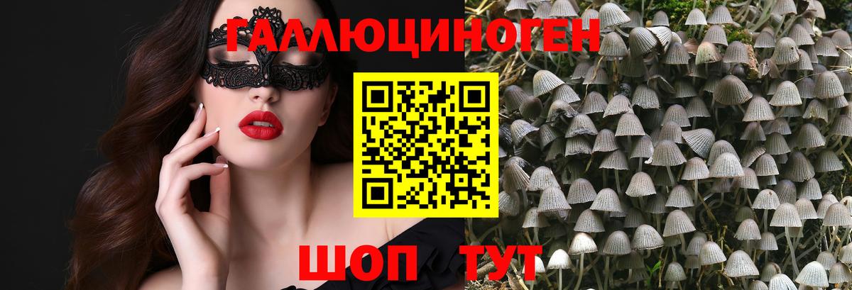 Галлюциногенные грибы мухоморы  Вход с VPN  Димитровград 